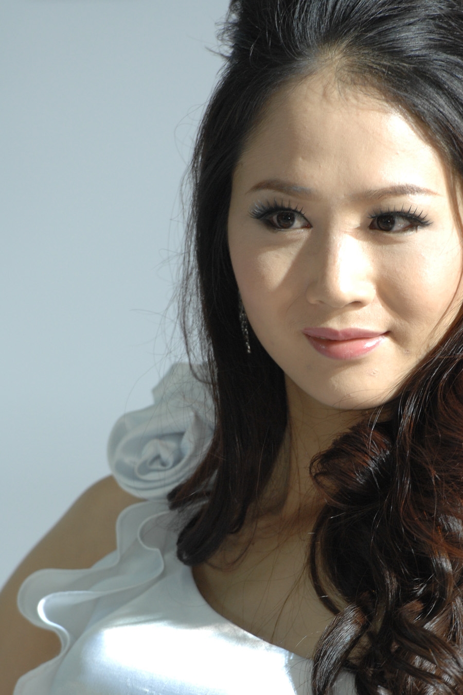 重庆力帆2号车模